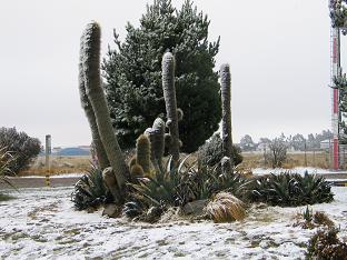 LaPazAirportSnow.JPG